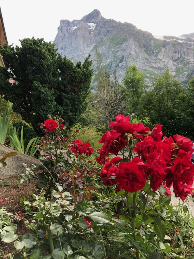 Chalet Zur Hoehe Lejlighed Grindelwald Eksteriør billede